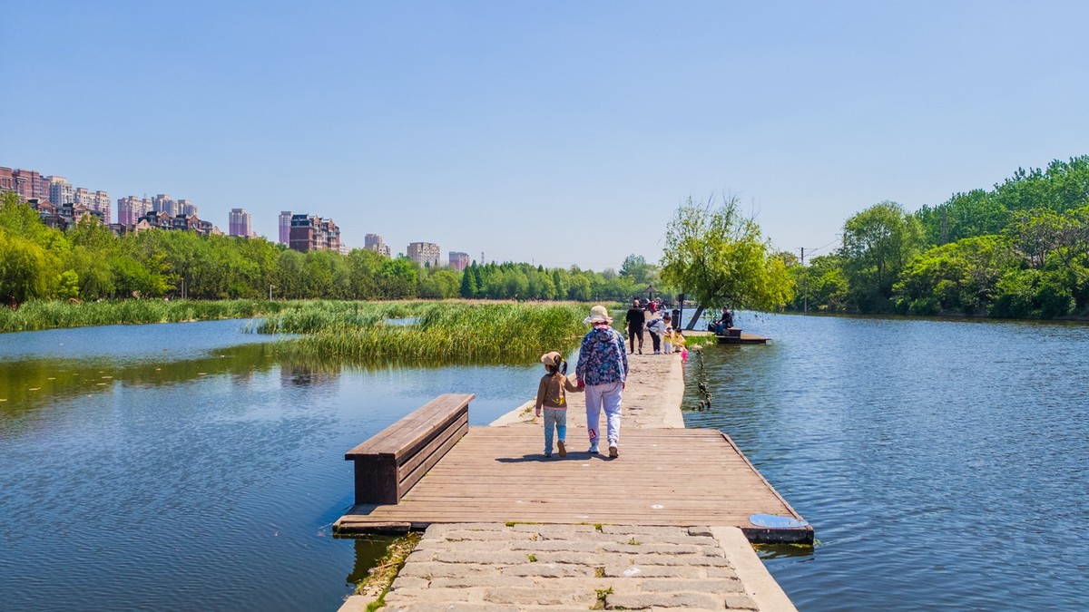 大 连 前 关 湿 地 （ 二 ）