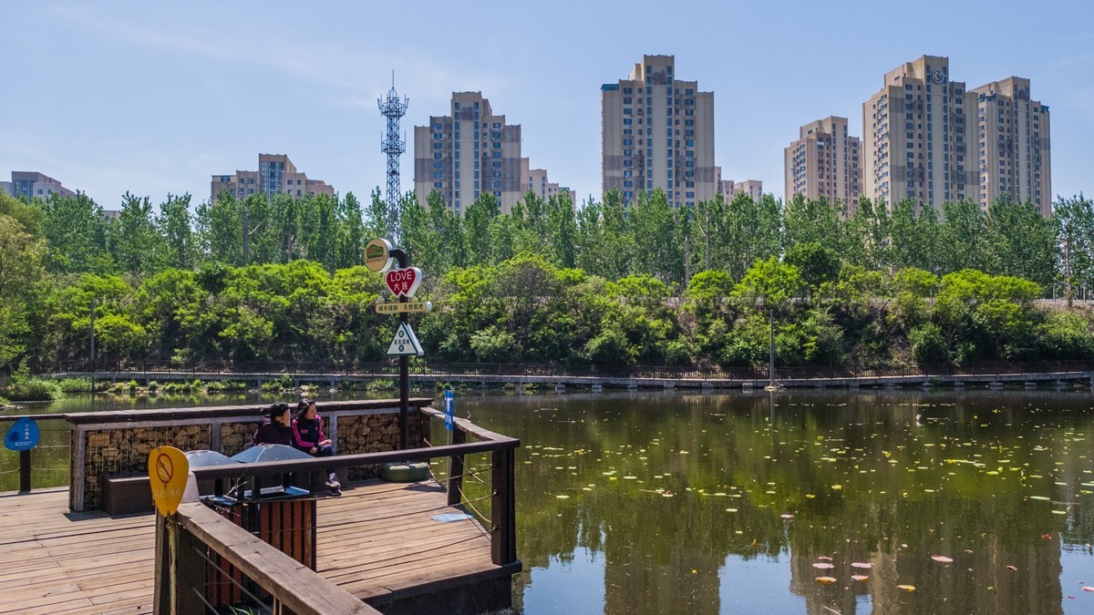 大 连 前 关 湿 地 （ 二 ）