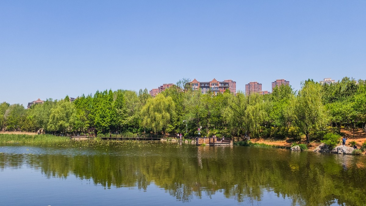 大 连 前 关 湿 地 （ 二 ）