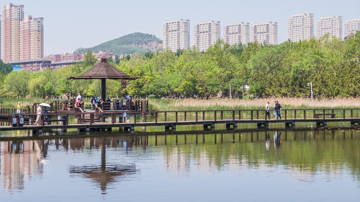 大 连 前 关 湿 地 （ 二 ）