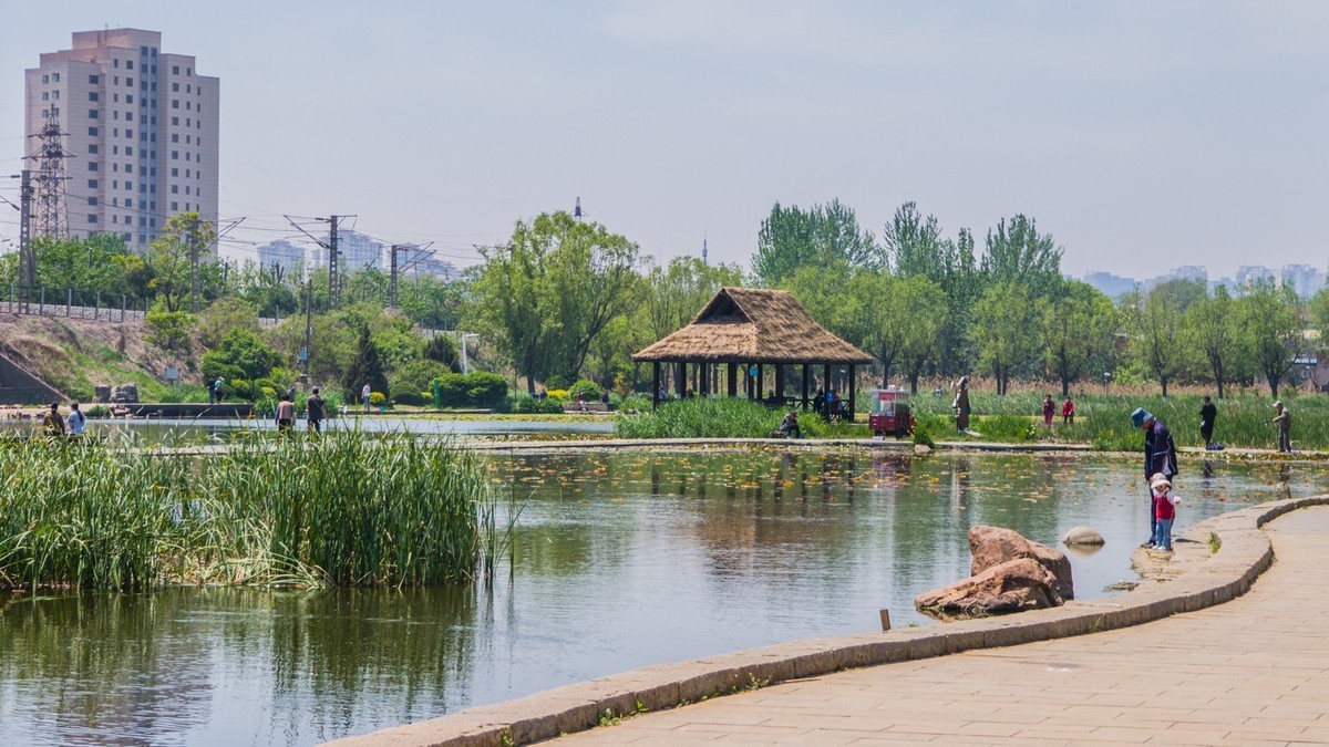 大 连 前 关 湿 地 （ 二 ）