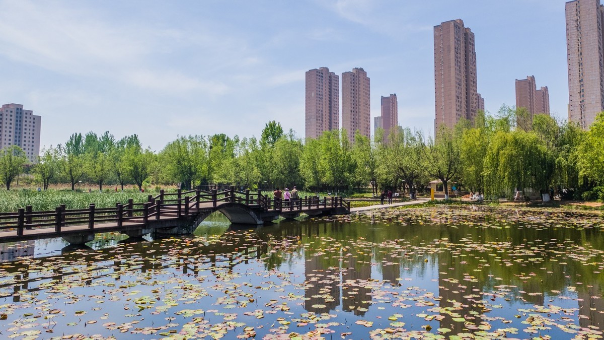 大 连 前 关 湿 地 （ 二 ）