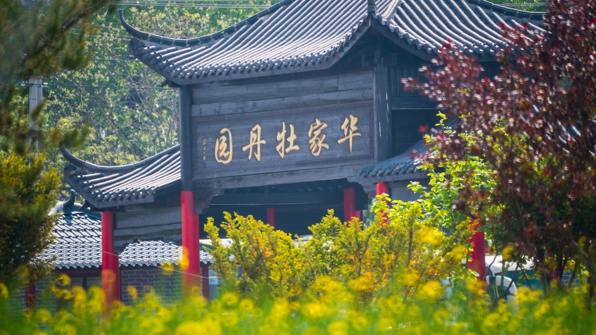 大 连 华 家 牡 丹 园