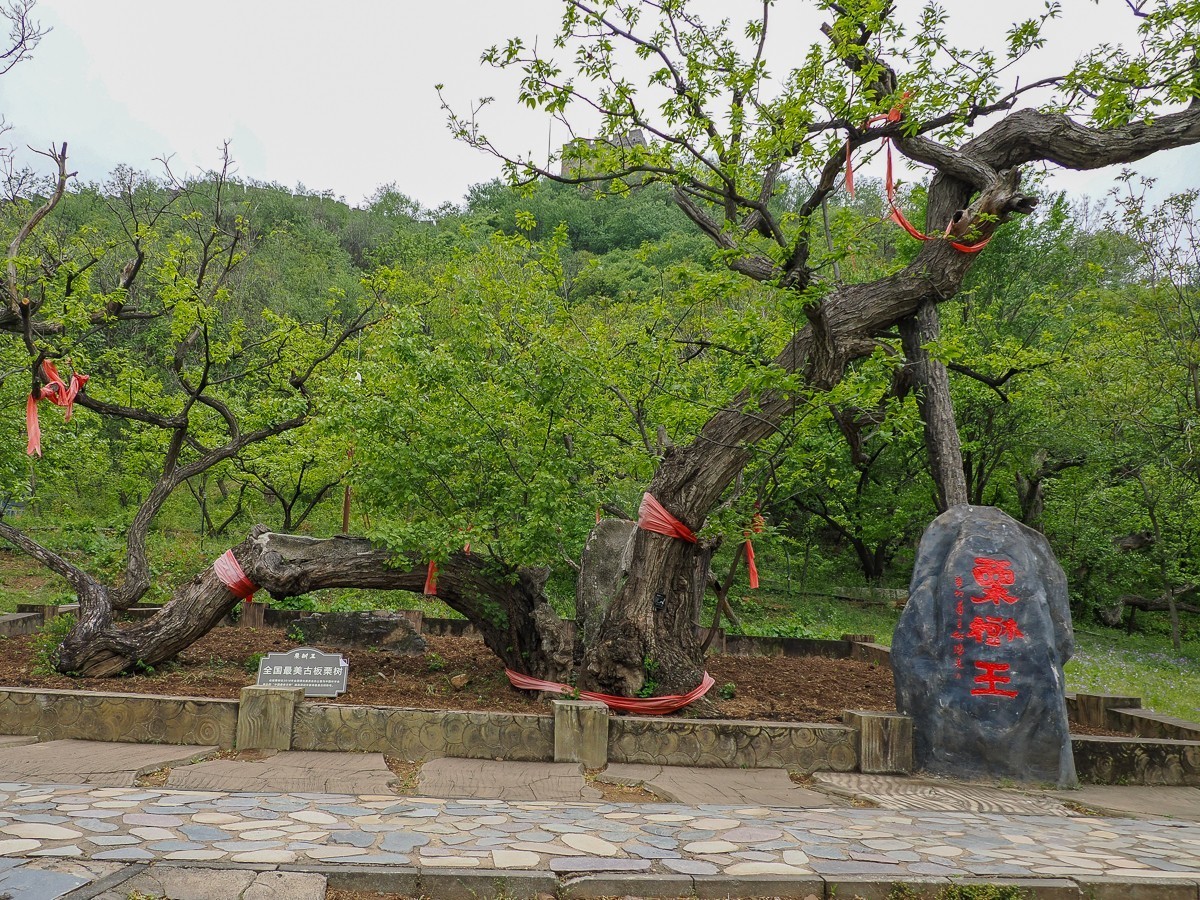 黄花城水长城掠影