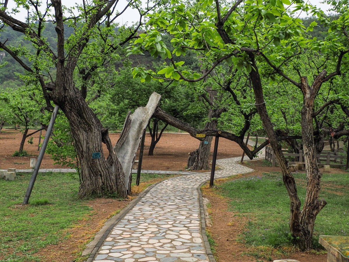 黄花城水长城掠影