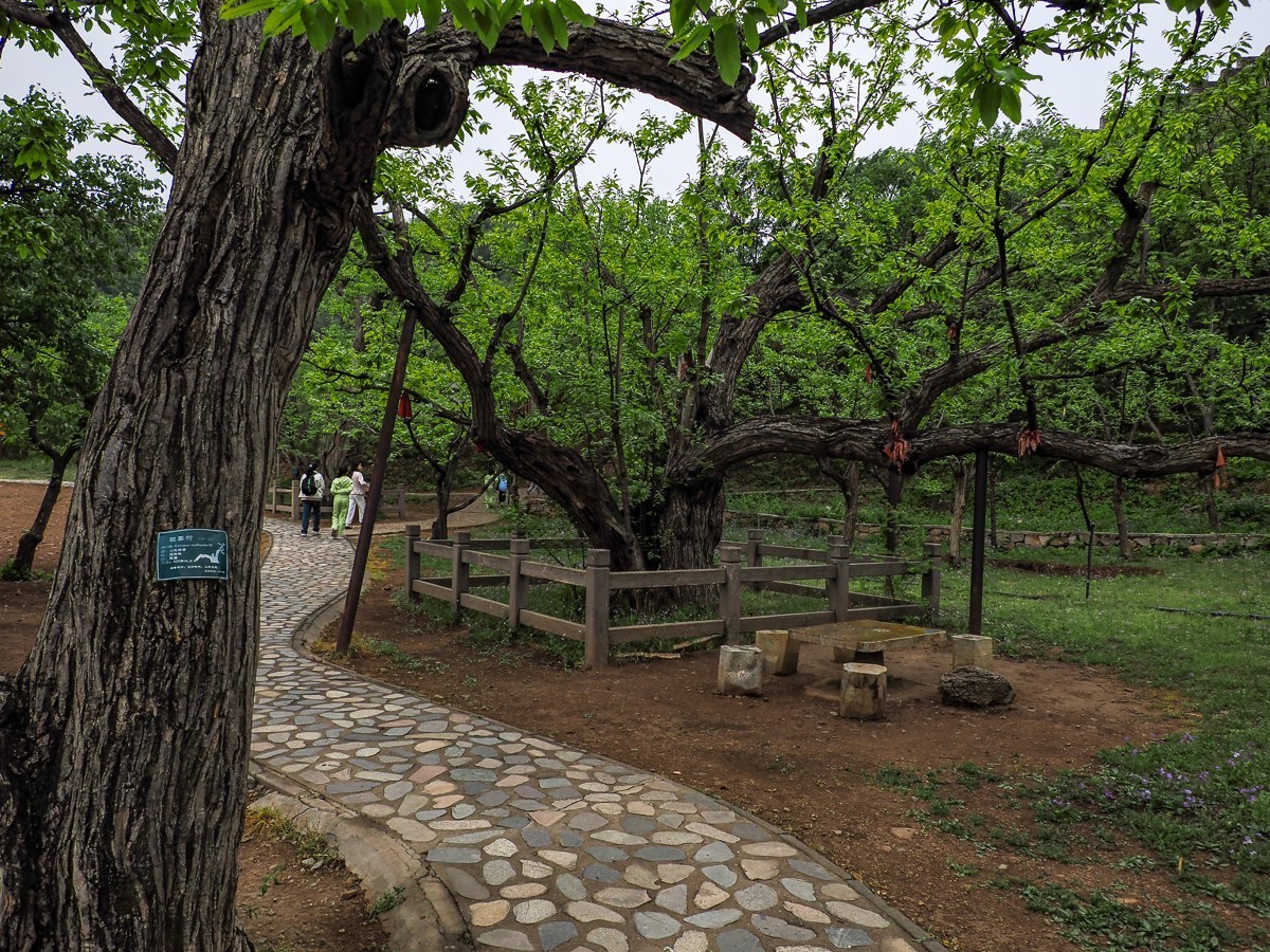 黄花城水长城掠影