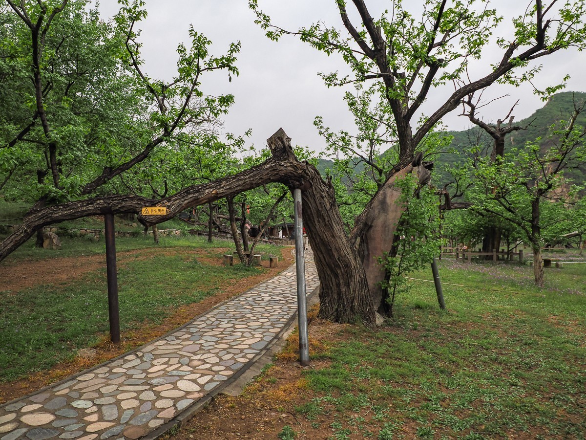 黄花城水长城掠影