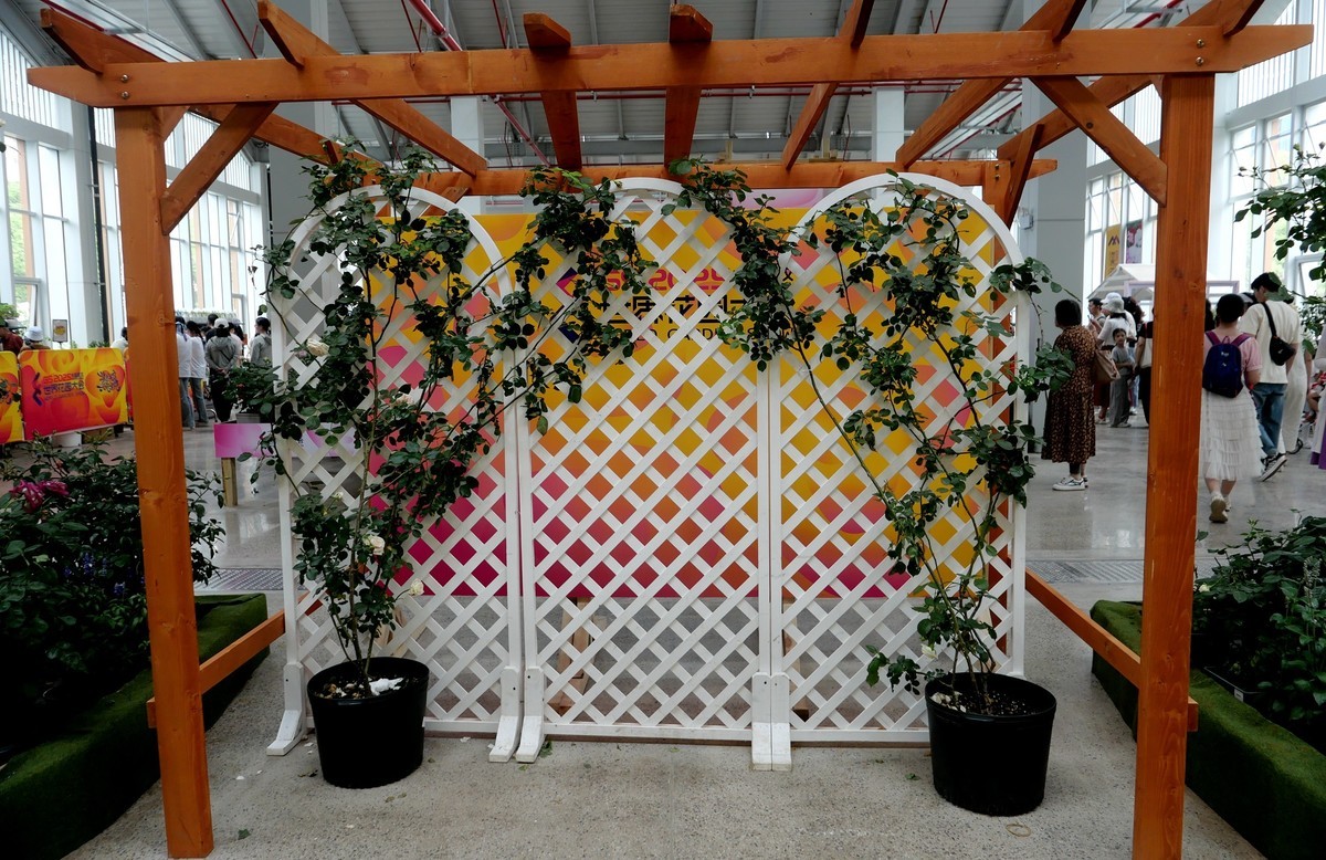 2025世界花园大会展掠影！