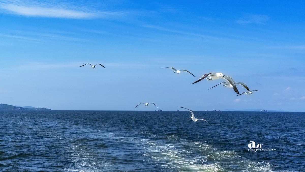 海参崴——艇上拍（8）