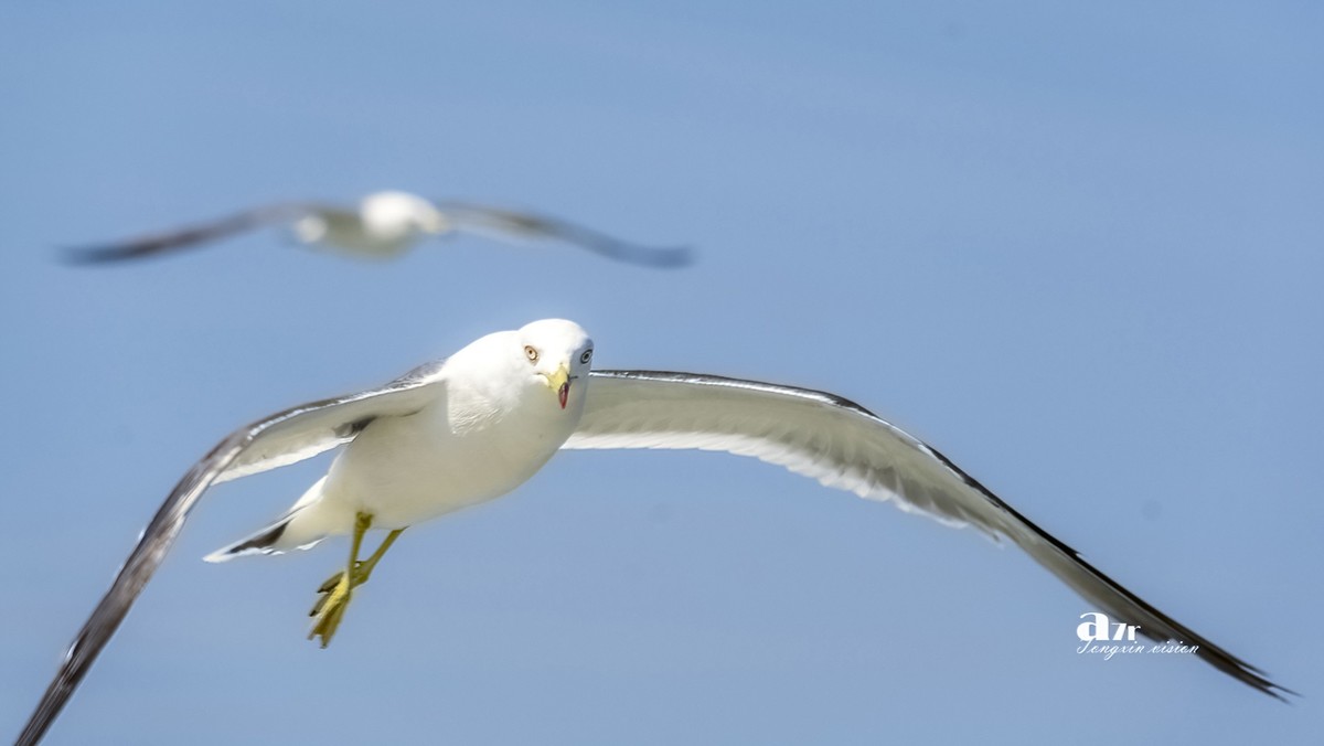 海参崴——艇上拍（8）