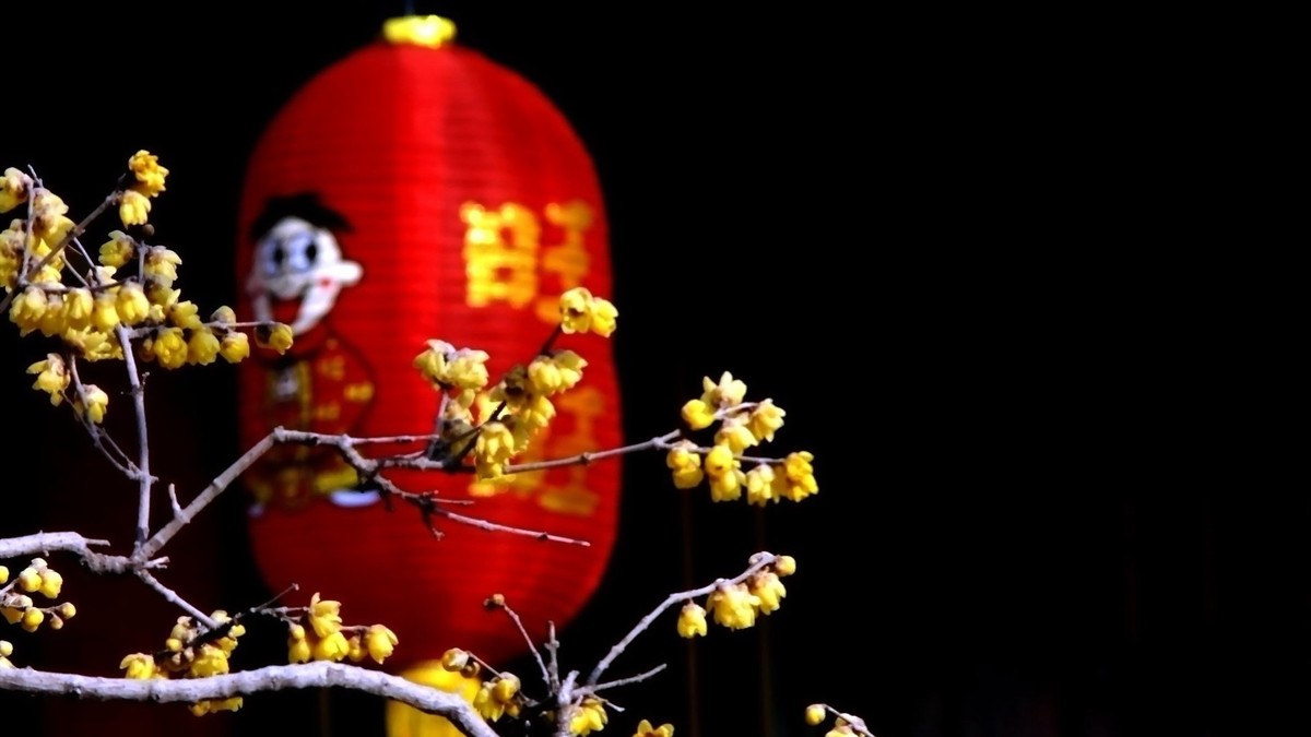 整理了一组梅花图，祝福版主和各位老师2022虎年快乐