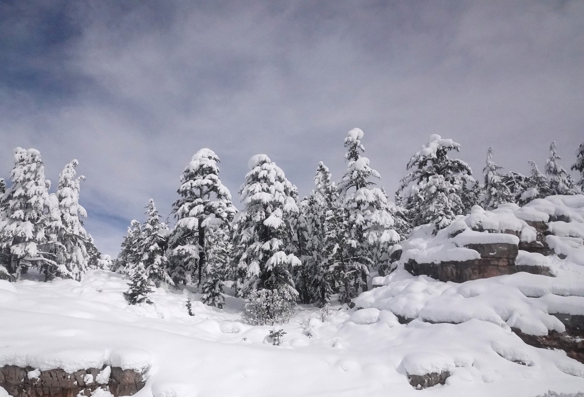 跟团游土耳其--孔亚、途经托罗斯山脉、阿波罗神庙遗址