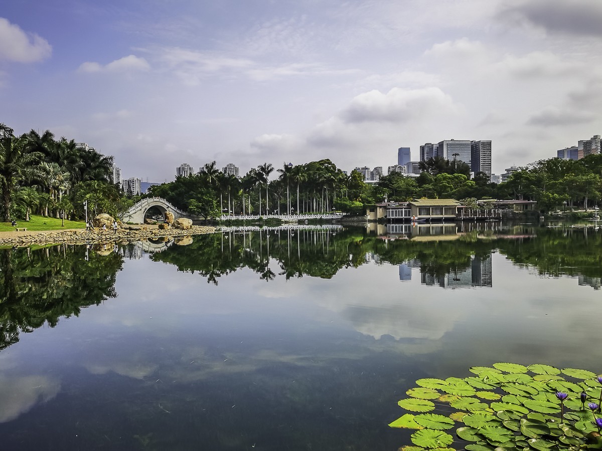 深圳荔枝公园掠影