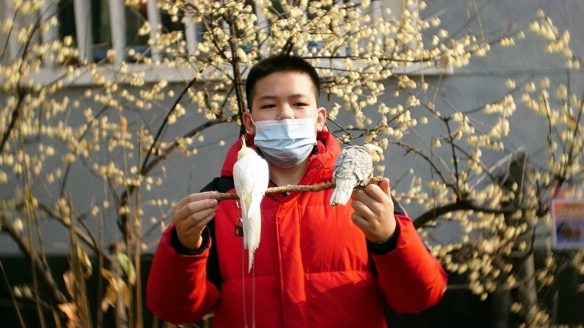 少年与小鸟儿-中关村在线摄影论坛