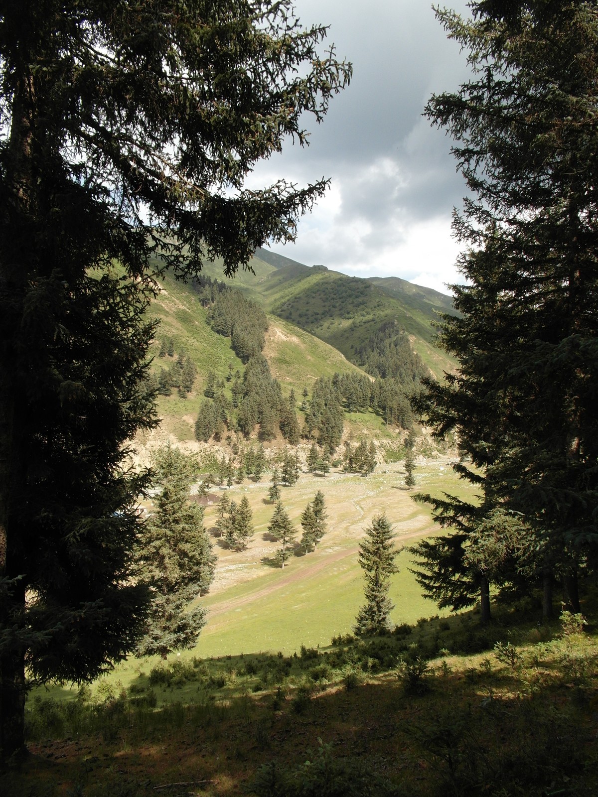 原始的自然风光