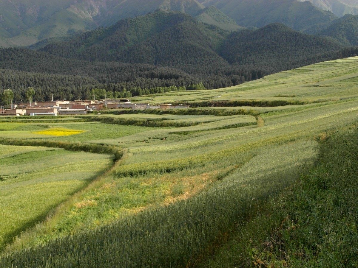 原始的自然风光