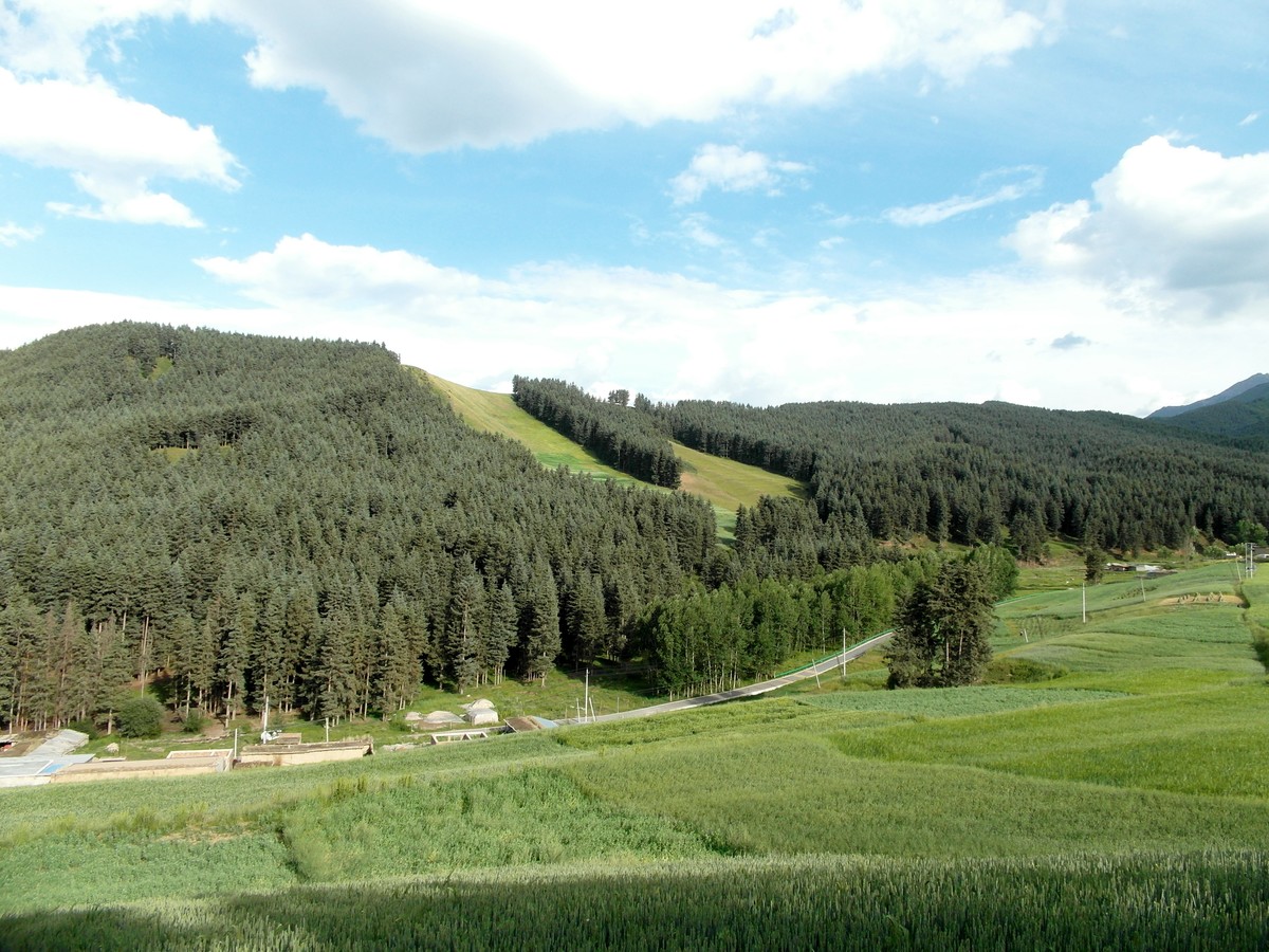 原始的自然风光