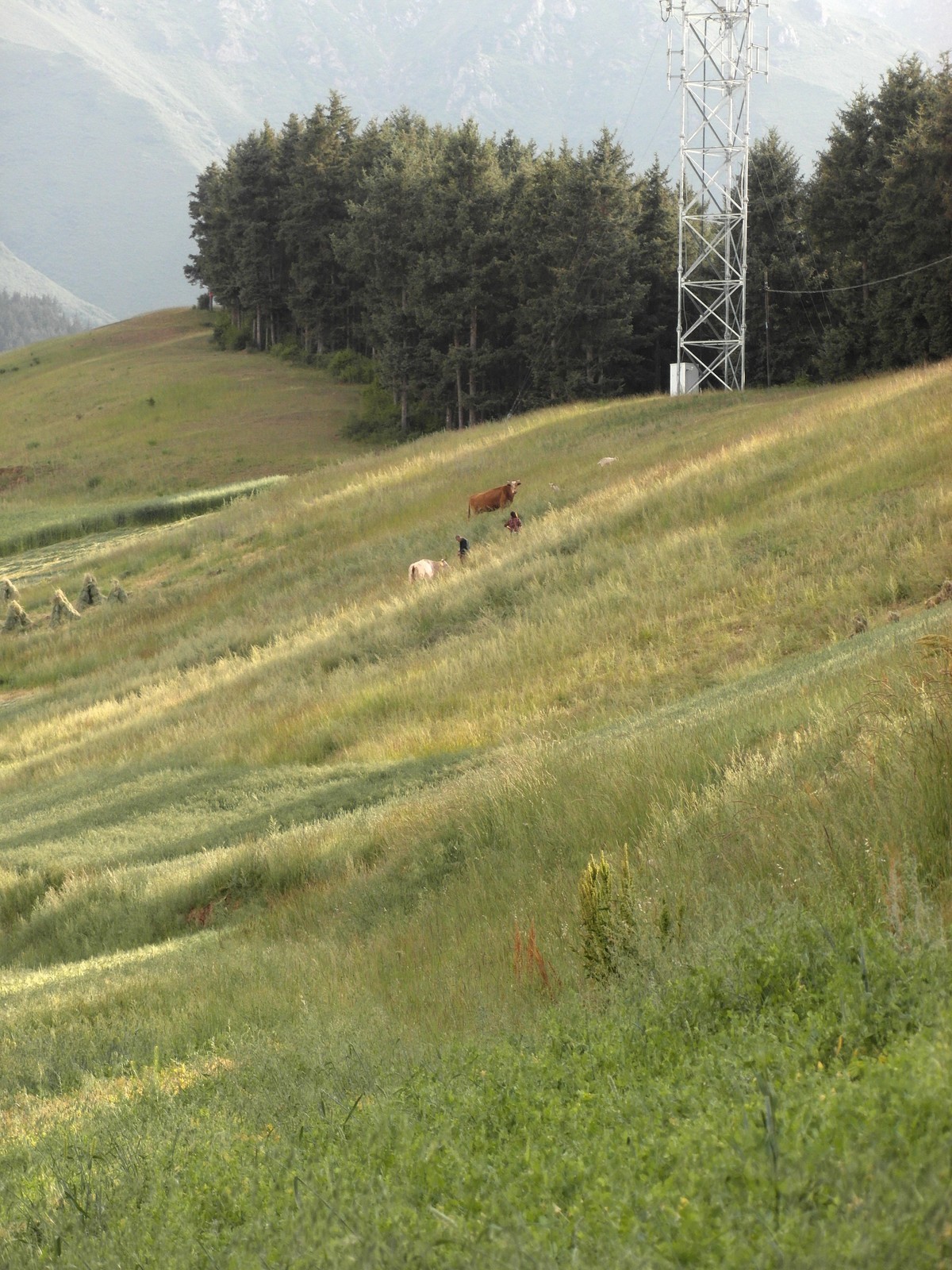 原始的自然风光