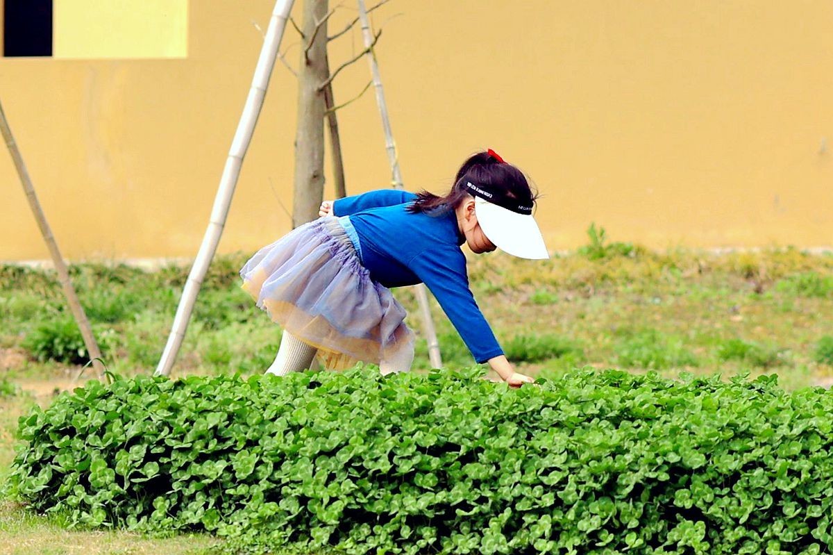 抓拍——练习飞盘的女孩儿