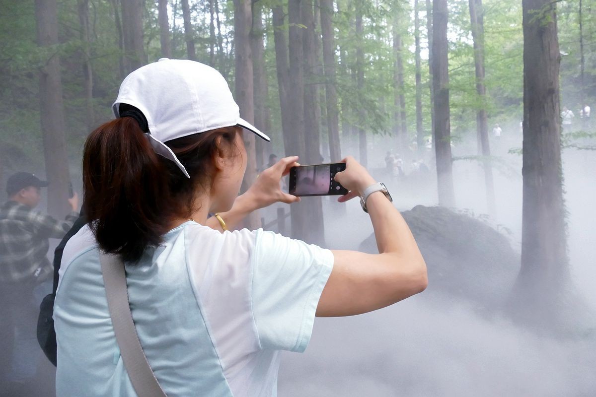 植物园 樱 桃 沟【二】
