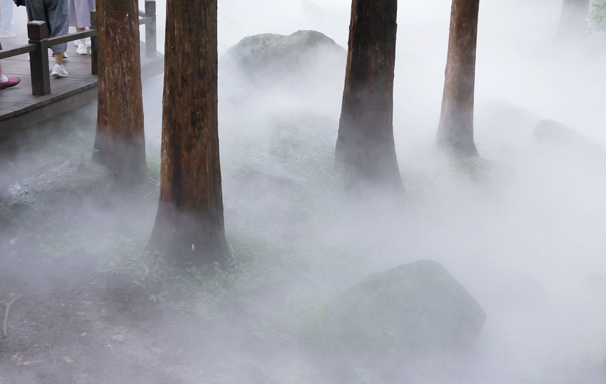 植物园 樱 桃 沟【二】
