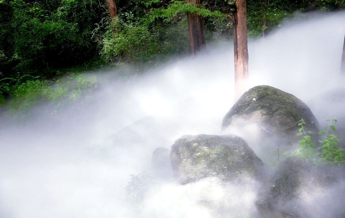植物园 樱 桃 沟【二】