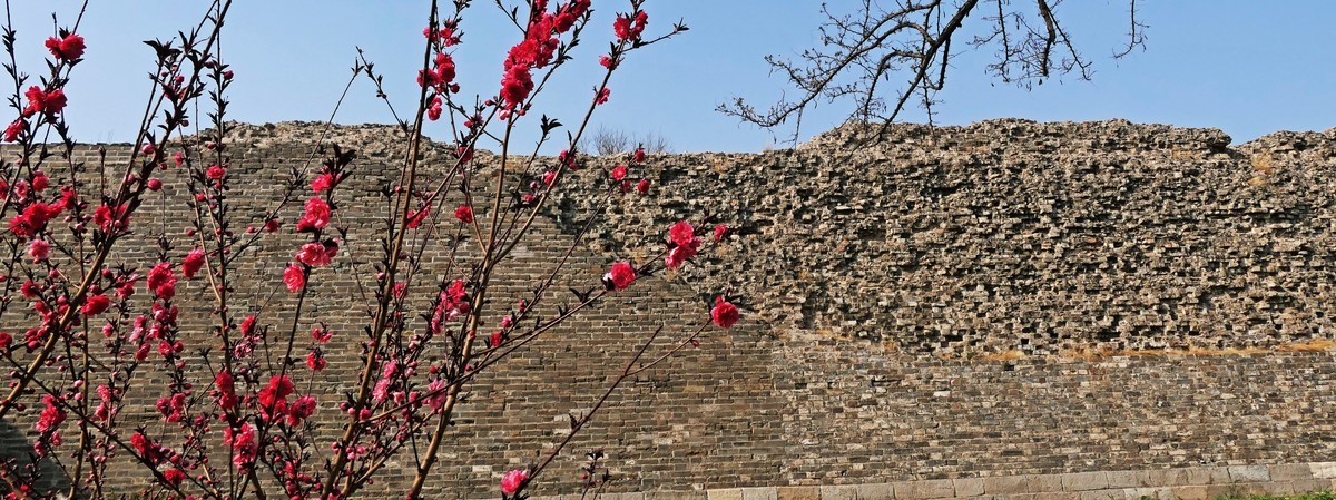 古城春晓-北京明城墙遗址公园春景