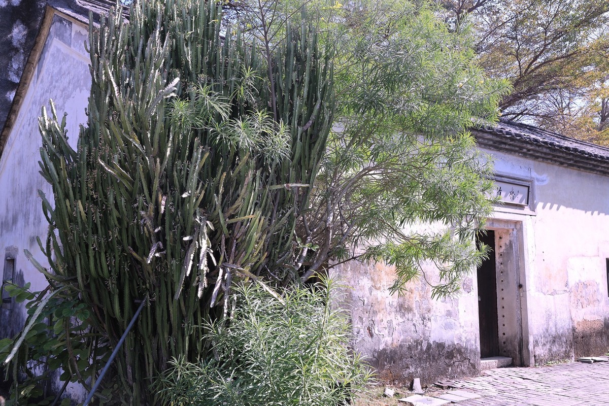 深圳观澜版画村--4