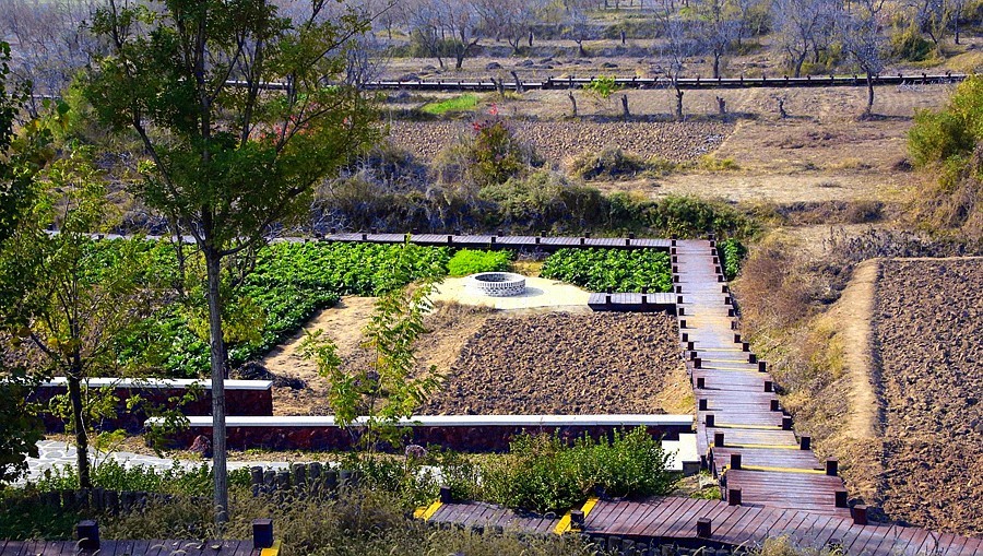 《不老松：纪实摄影》大美沧州系列報道：海兴小山火山地质公园(07)马溜山岩石！