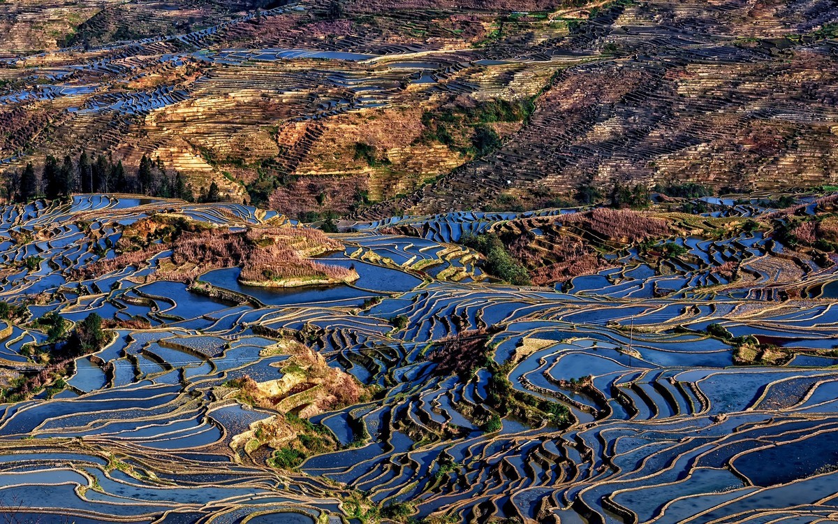 云南多依树景区介绍图片