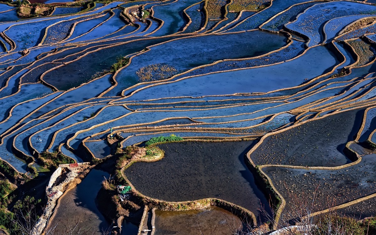 云南多依树景区介绍图片