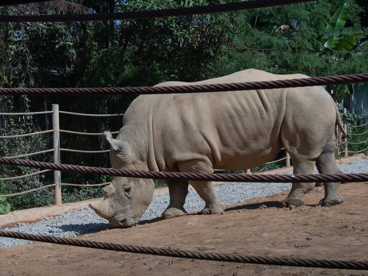 东莞市寮步镇的动物公园