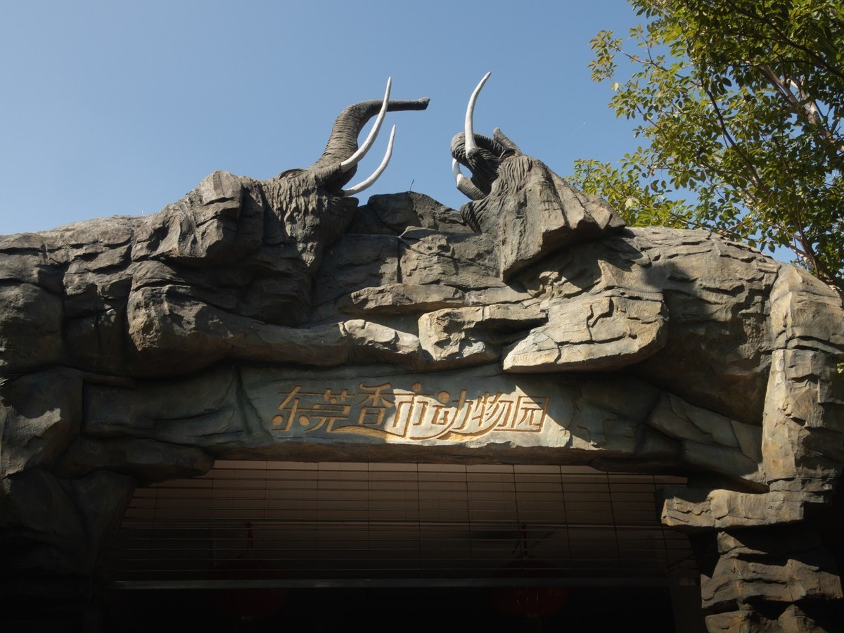 东莞市寮步镇的动物公园