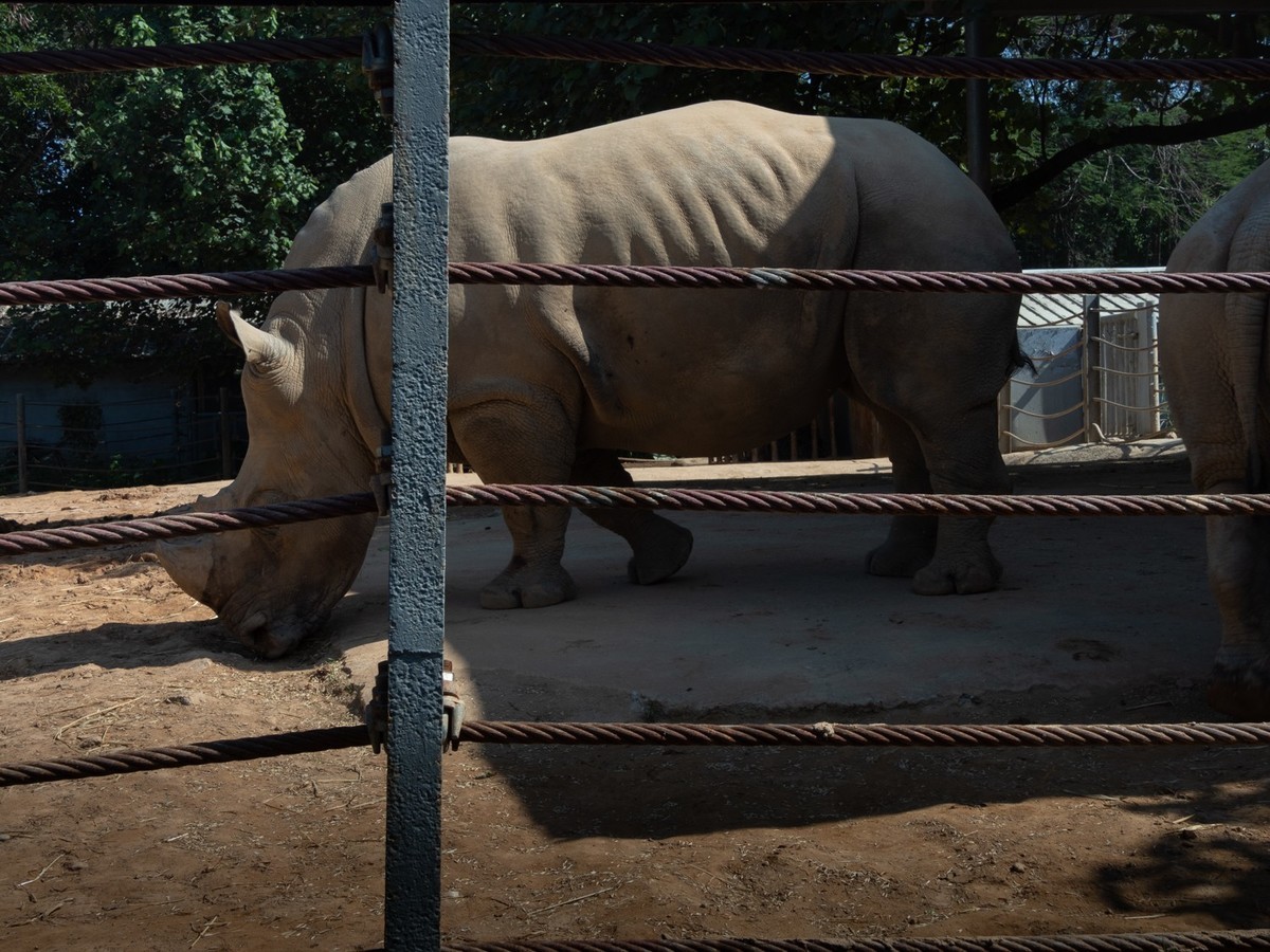 东莞市寮步镇的动物公园