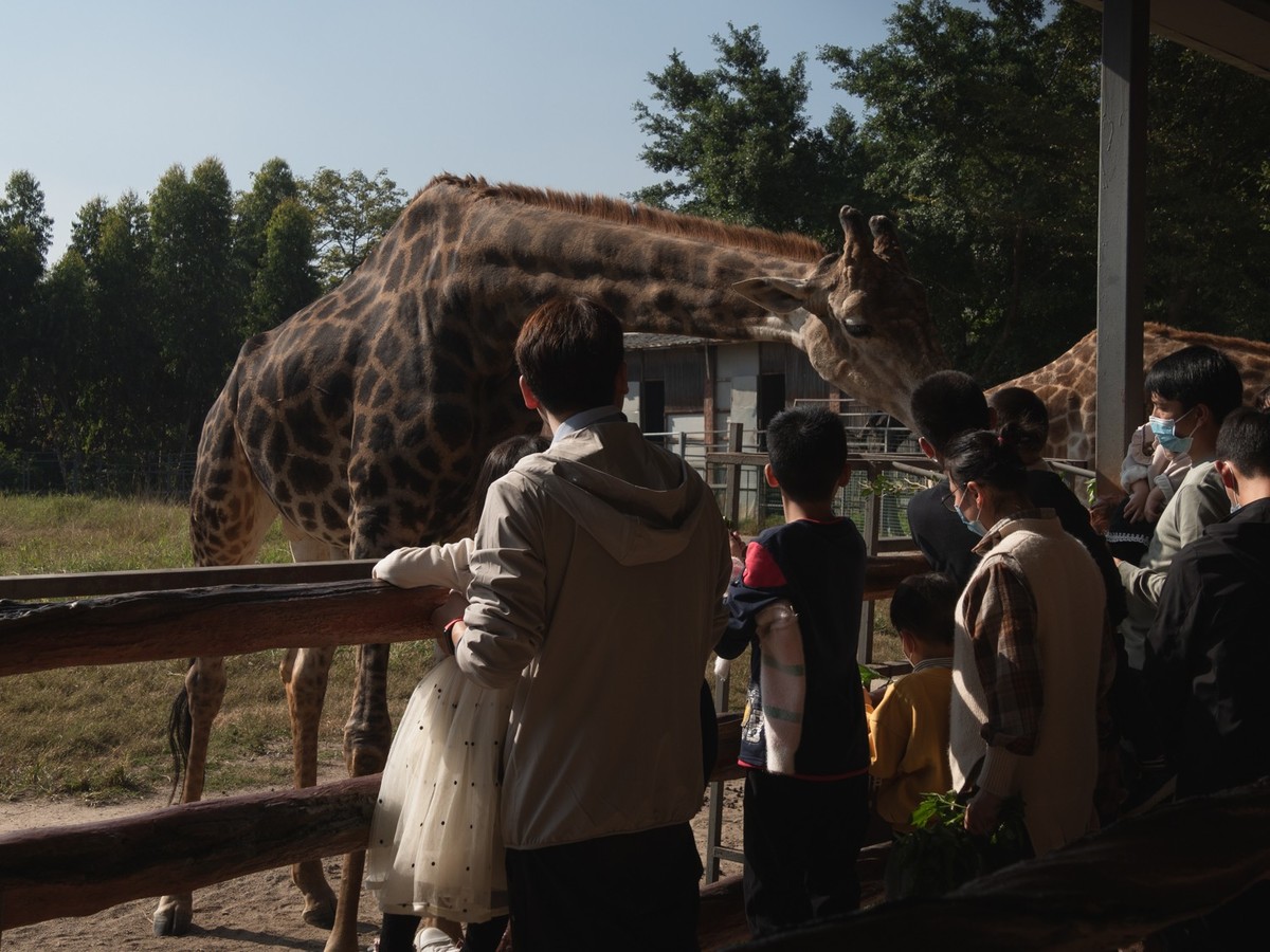 东莞市寮步镇的动物公园