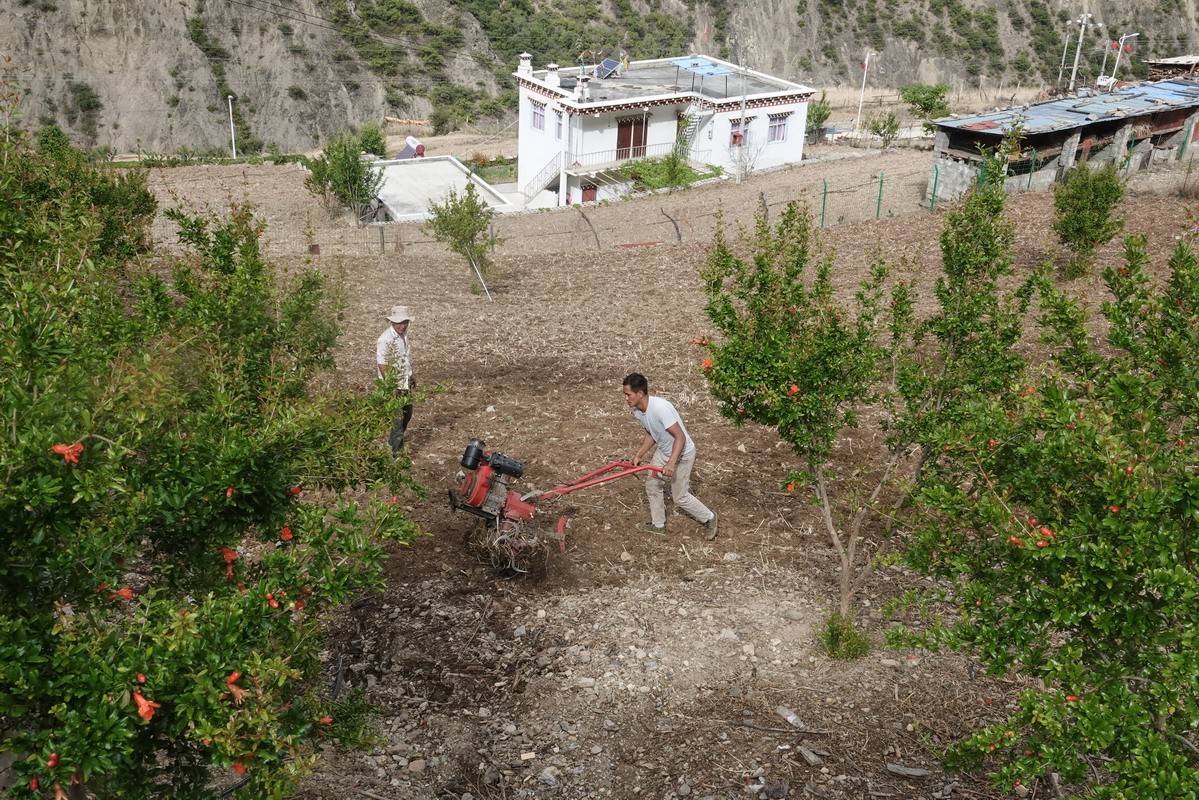 西行散记——走近阿丙村