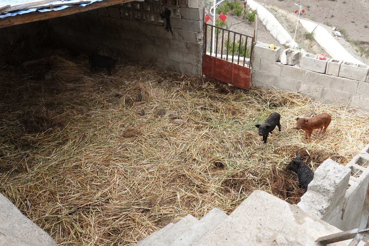 西行散记——走近阿丙村