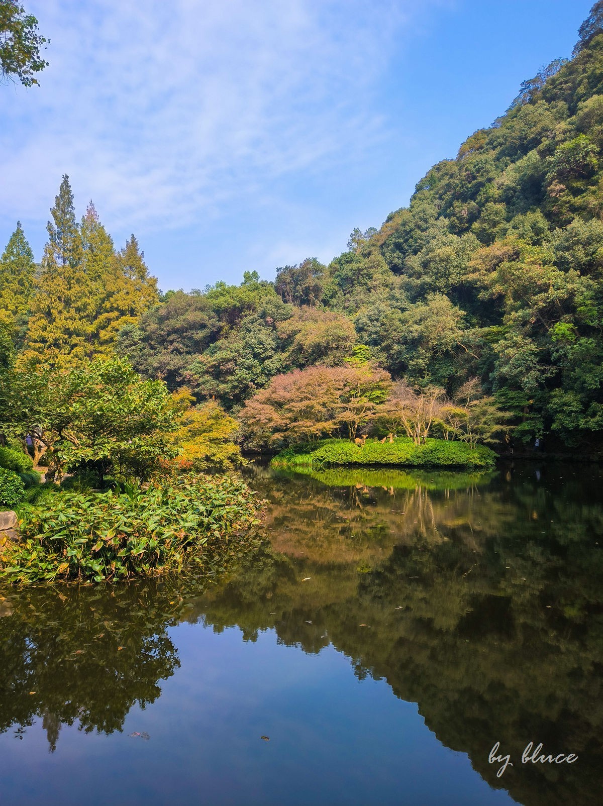 手机随拍——杭州西湖九溪景区（下）