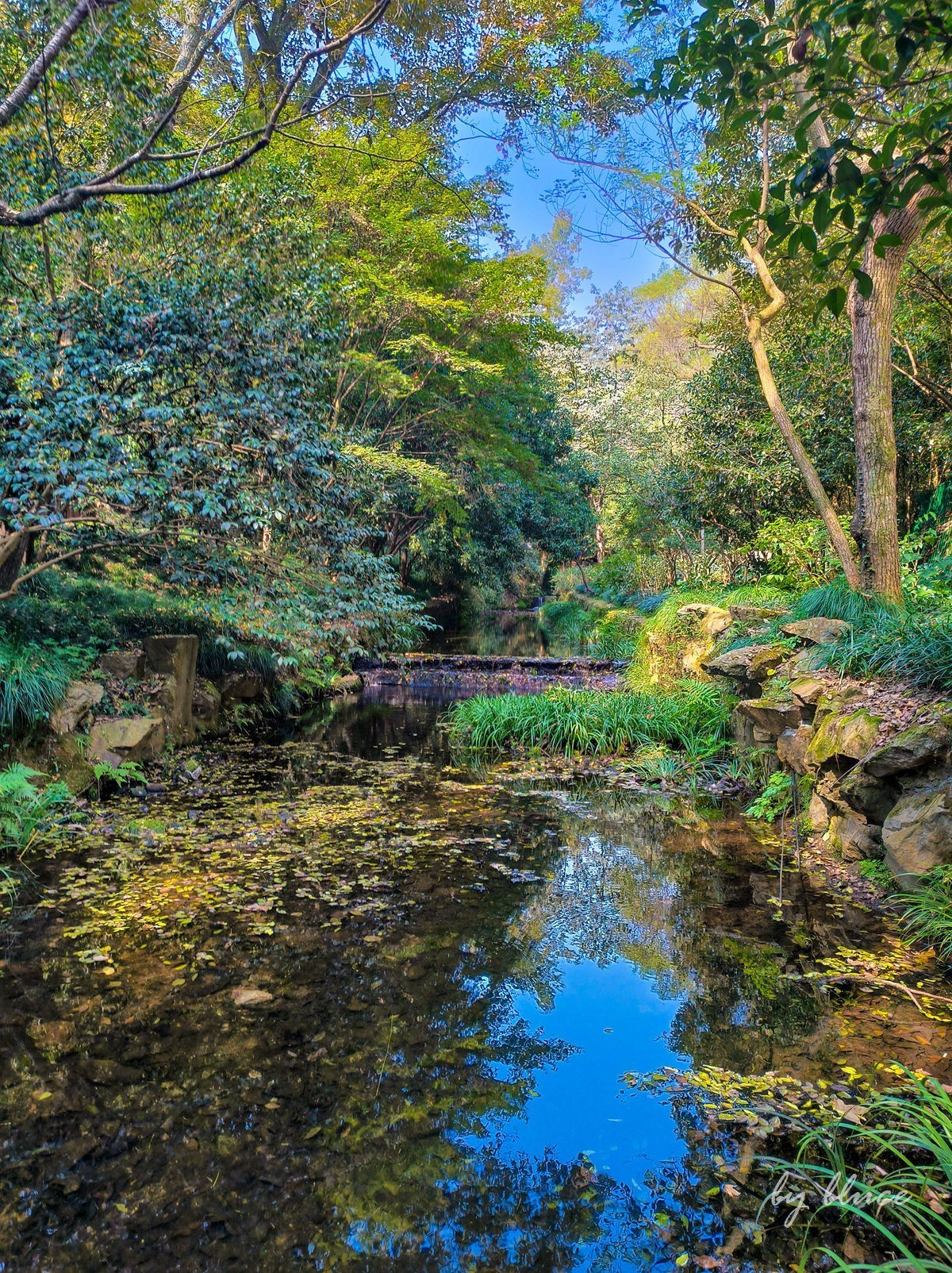手机随拍——杭州西湖九溪景区（下）