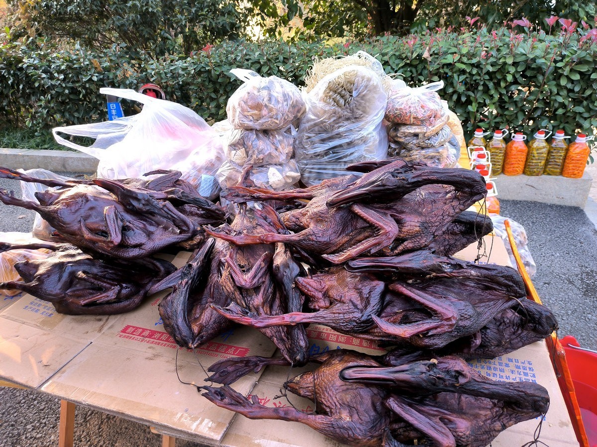 漫步星城 走街串巷（417）乐和码头