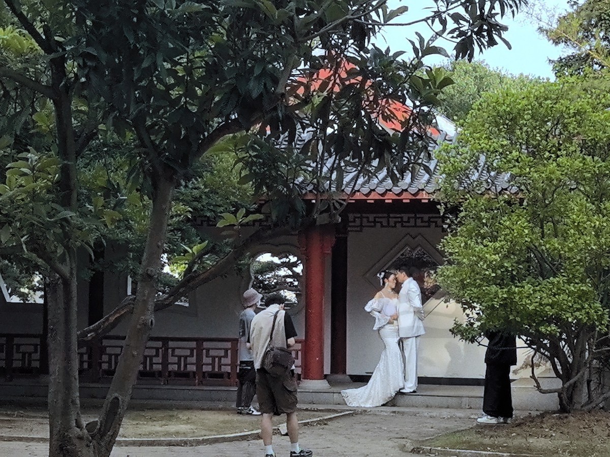 回廊春光3*磨山盆景园——武汉随笔