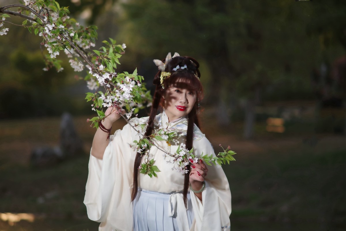 堤角公园樱花树下的古装美女！