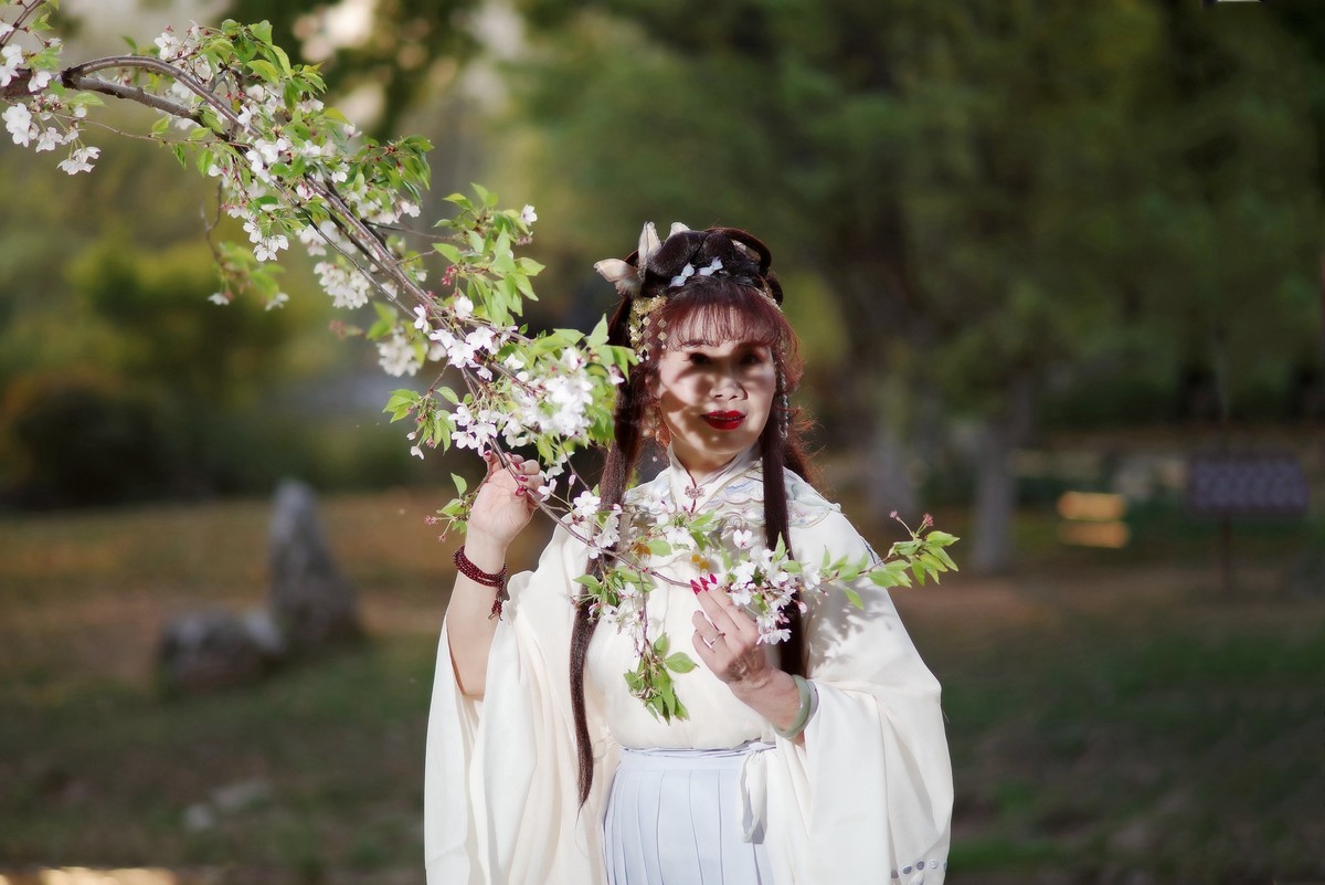 堤角公园樱花树下的古装美女！
