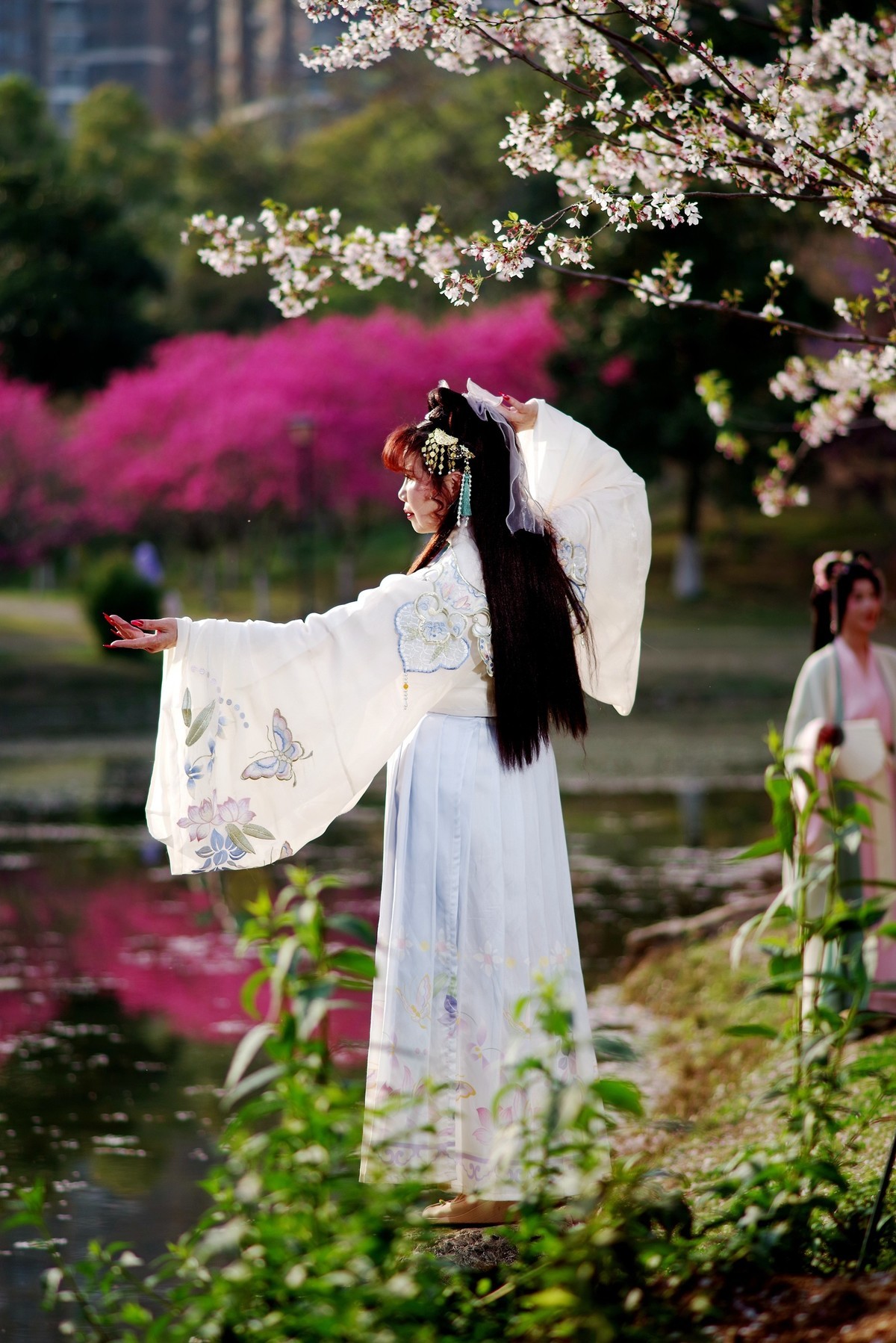 堤角公园樱花树下的古装美女！