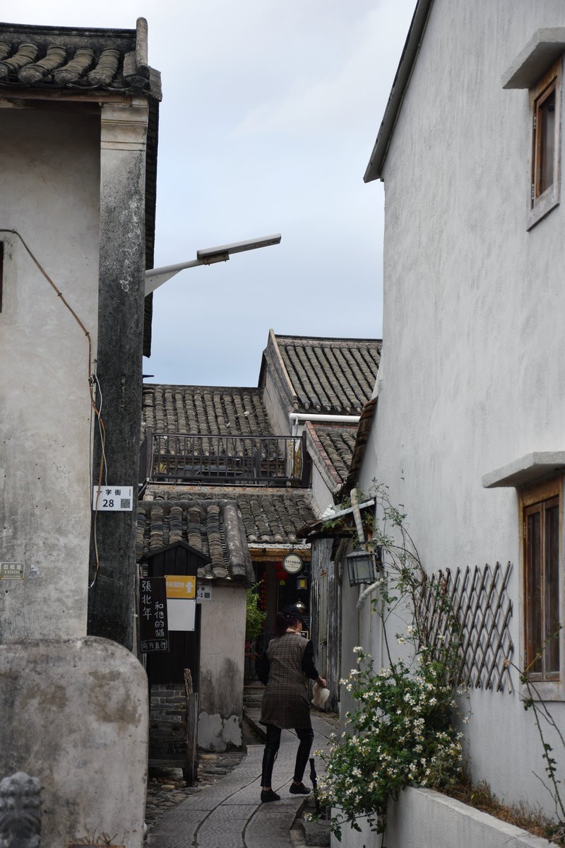 2025春节 广东行（101）六百年的古村落