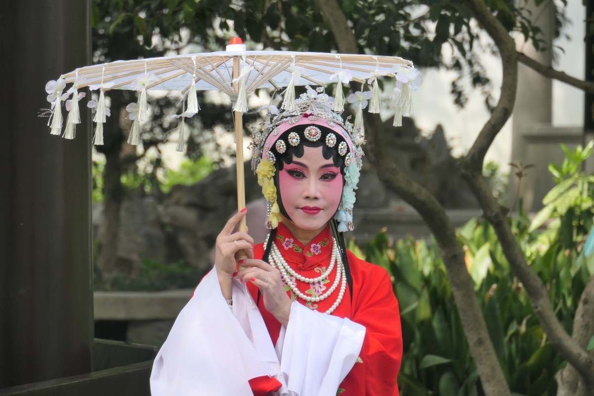 【国色芳华 春漾漕溪】——摄于上海漕溪公园