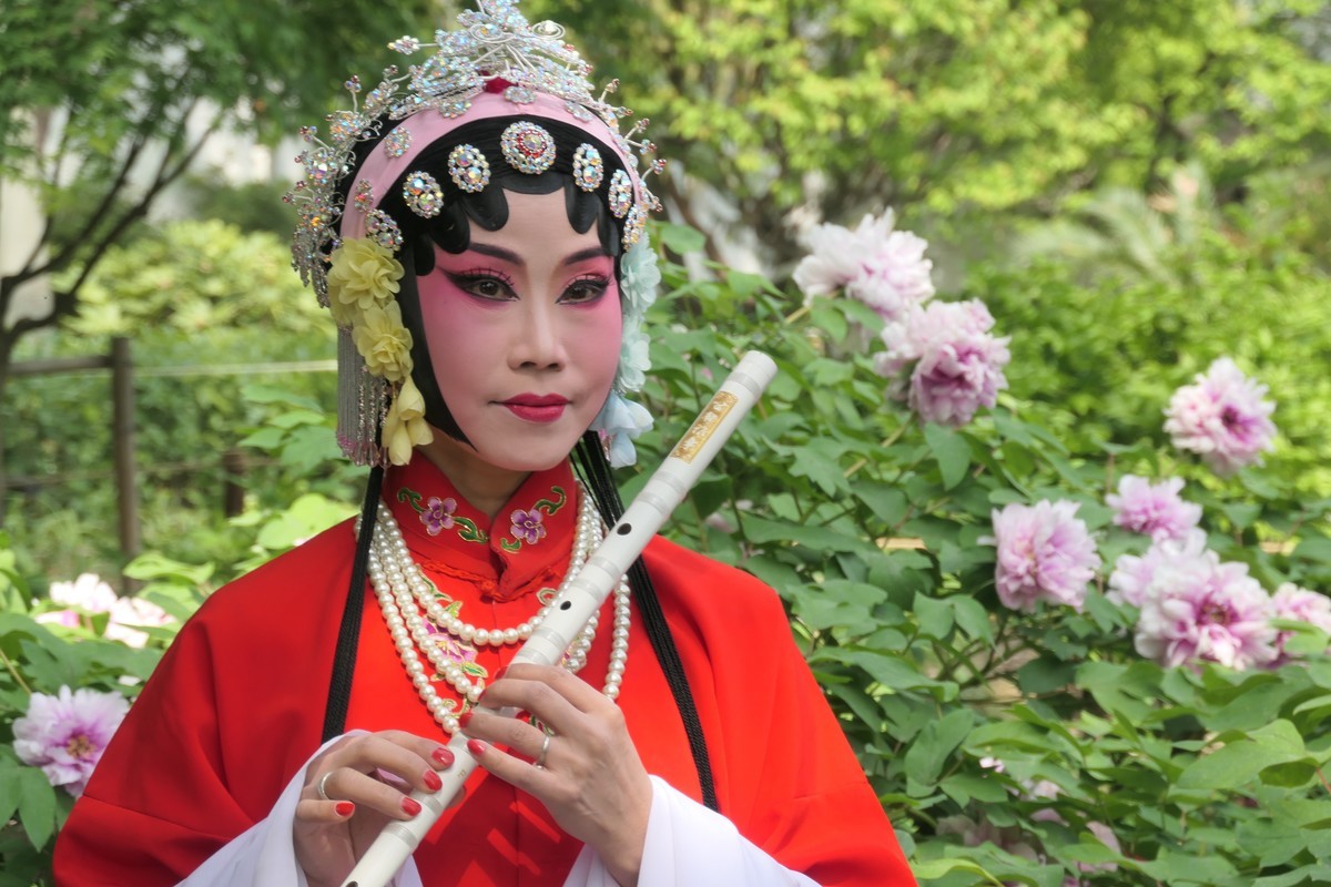 【国色芳华 春漾漕溪】——摄于上海漕溪公园