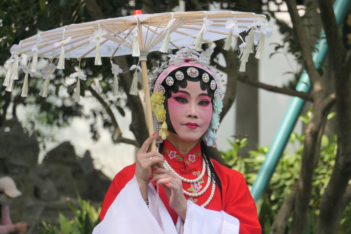 【国色芳华 春漾漕溪】——摄于上海漕溪公园