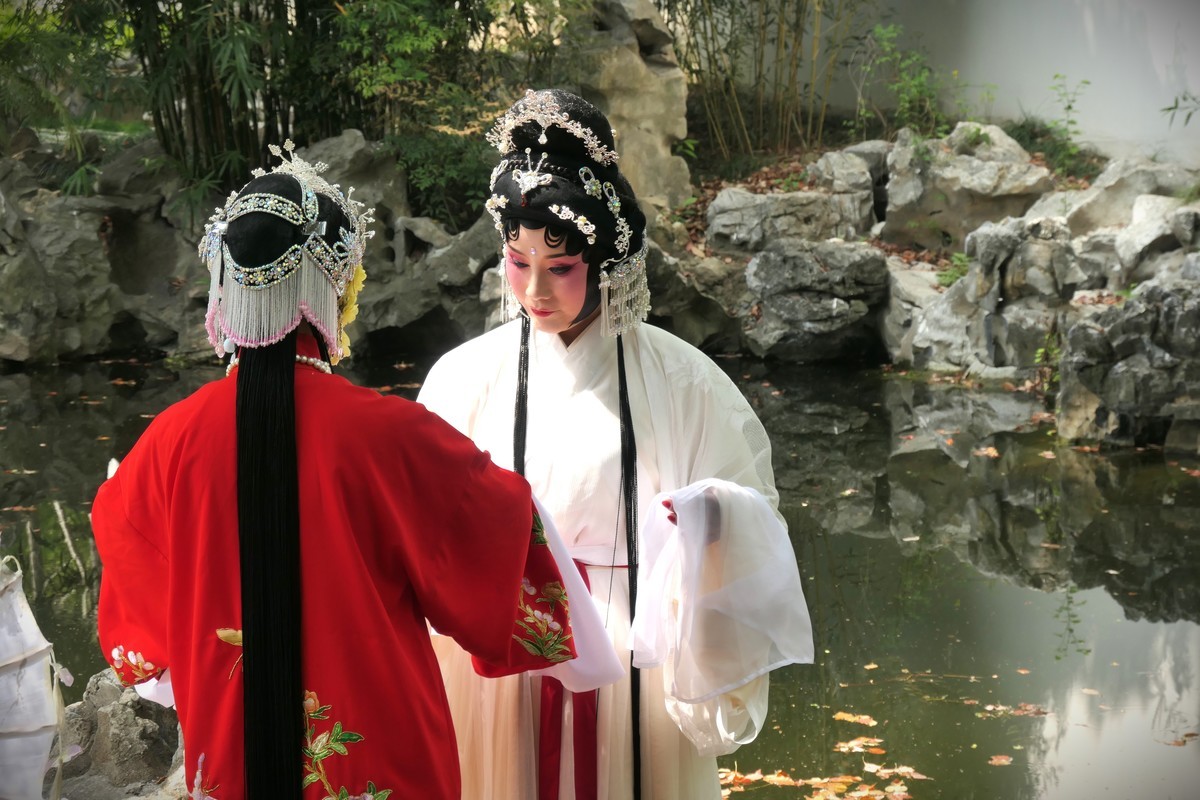 【国色芳华 春漾漕溪】——摄于上海漕溪公园