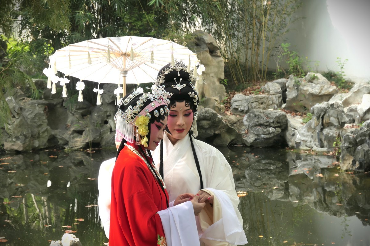 【国色芳华 春漾漕溪】——摄于上海漕溪公园